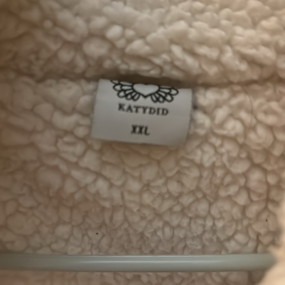 Katydid - Picture 4 of 4